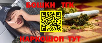 амф Сланцы