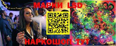 амф Сланцы