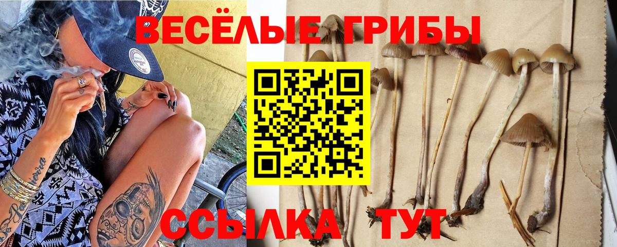 Псилоцибиновые грибы MAGIC MUSHROOMS  Псилоцибиновые грибы GOLDEN TEACHER  Вход с VPN  Северобайкальск 
