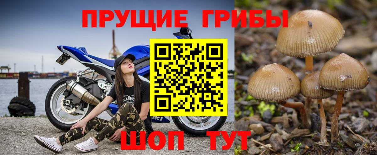 Галлюциногенные грибы мицелий Северобайкальск